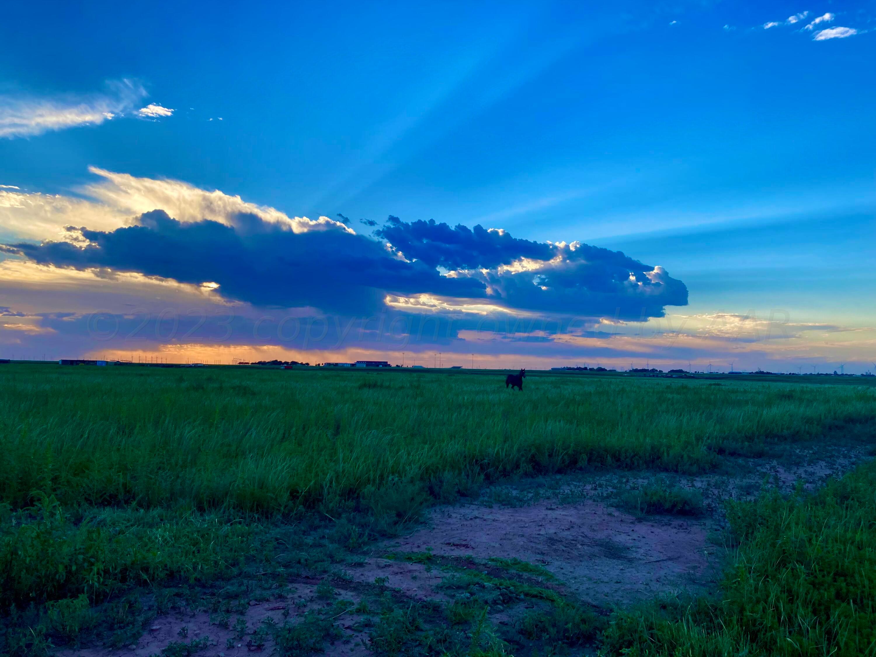 0 Co Road Wildorado, TX 79098 - Photo 6 of 13 a view of a yard with a house
