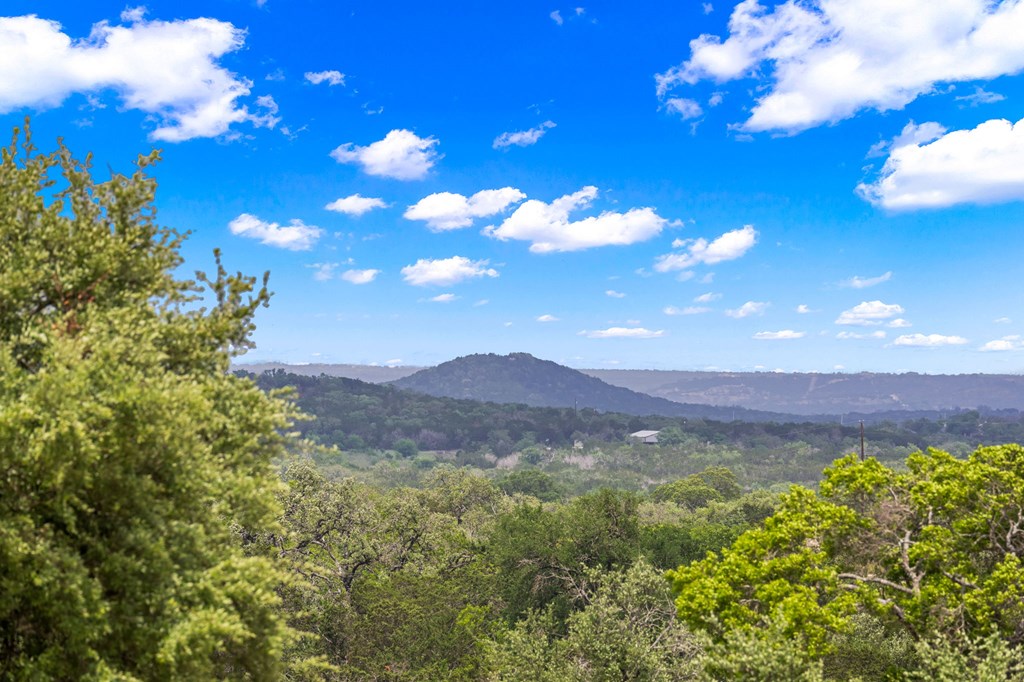 161 Balsly Road East Center Point, TX 78010 - Photo 29 of 31