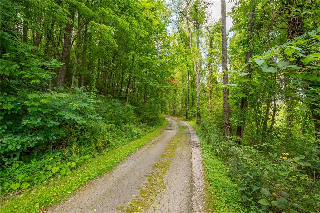 2915 Kane Road Aliquippa, PA 15001 - Photo 2 of 31 Driveway