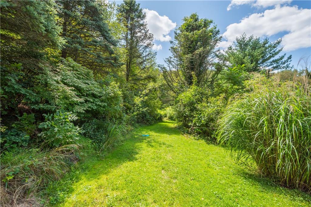 2915 Kane Road Aliquippa, PA 15001 - Photo 7 of 31 Side yard
