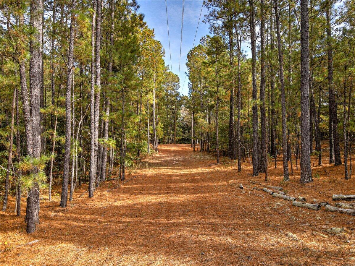 0 Banks Mill Road Southeast Aiken, SC 29803 - Photo 1 of 13