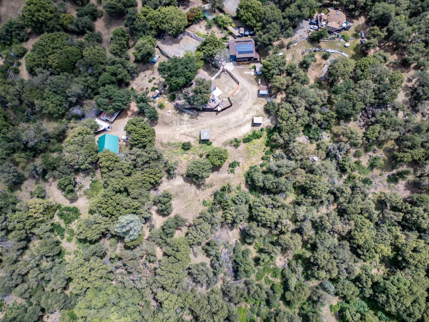 51571 Coyote Ridge Road Oakhurst, CA 93644 - Photo 91 of 95