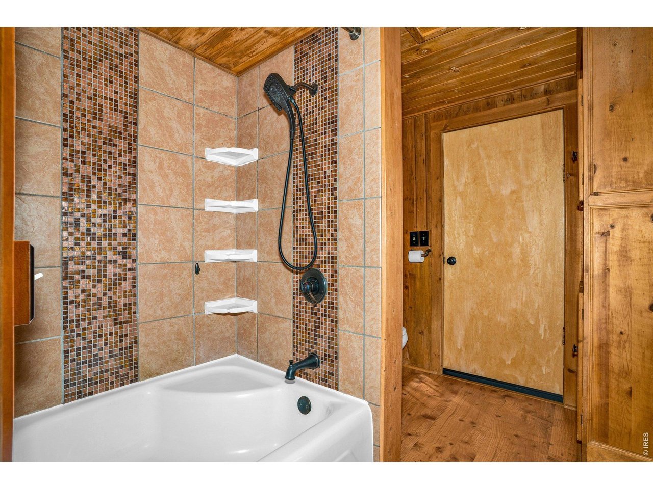 251 Haugen Slide Road Allenspark, CO 80510 - Photo 33 of 42 a bathroom with a shower