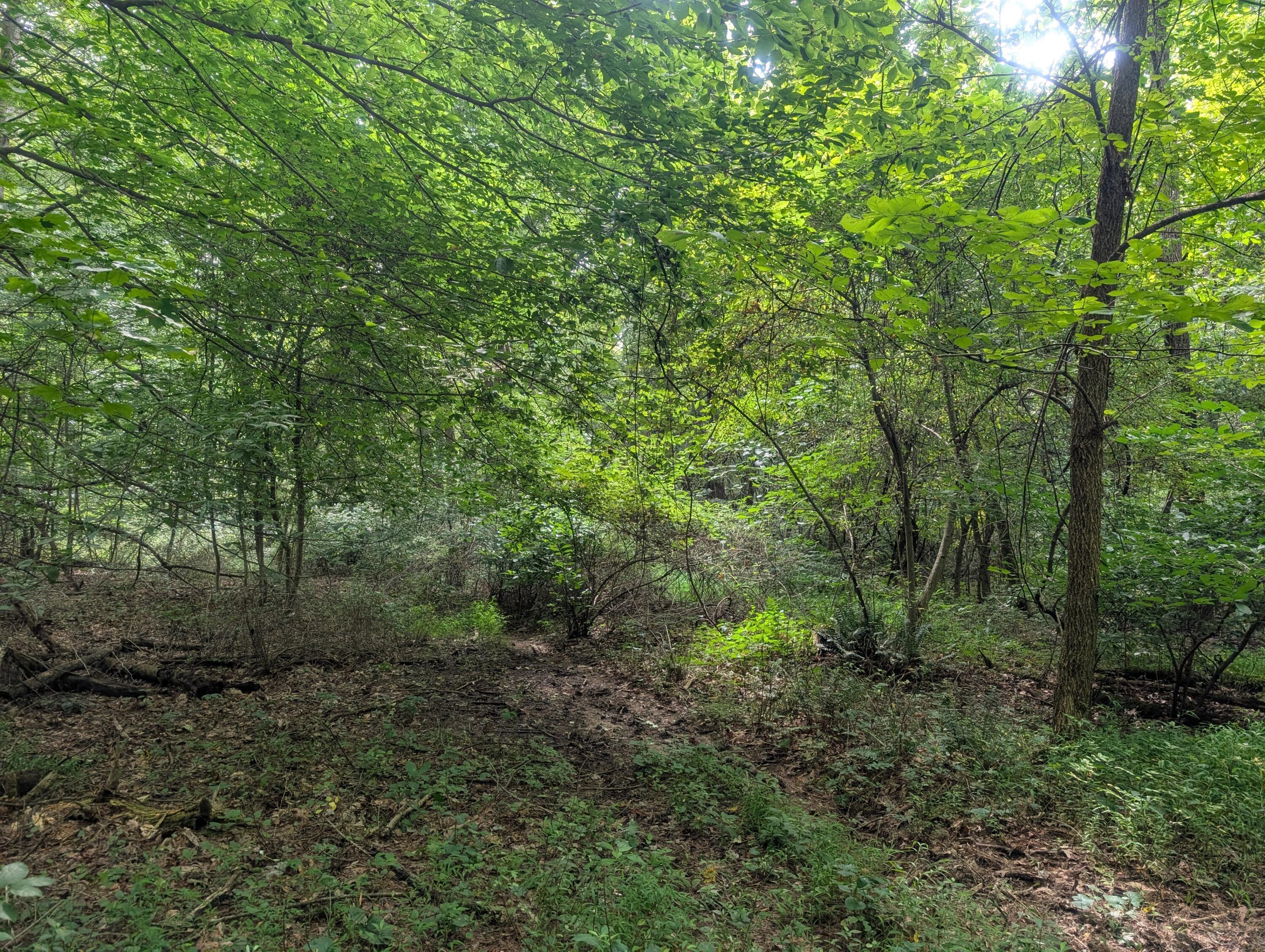 0 Toll Gate Road Somerset, OH 43783 - Photo 8 of 40 8