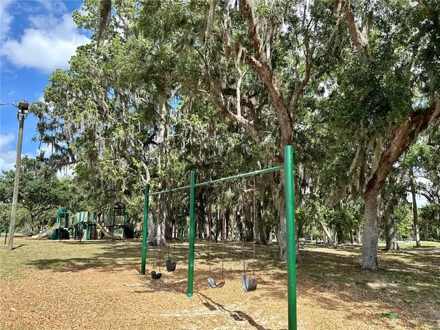 a view of a street from a tree