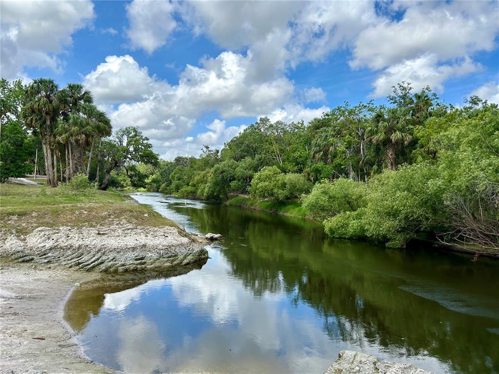 3456 Elm Street Zolfo Springs, FL 33890 - Photo 40 of 45
