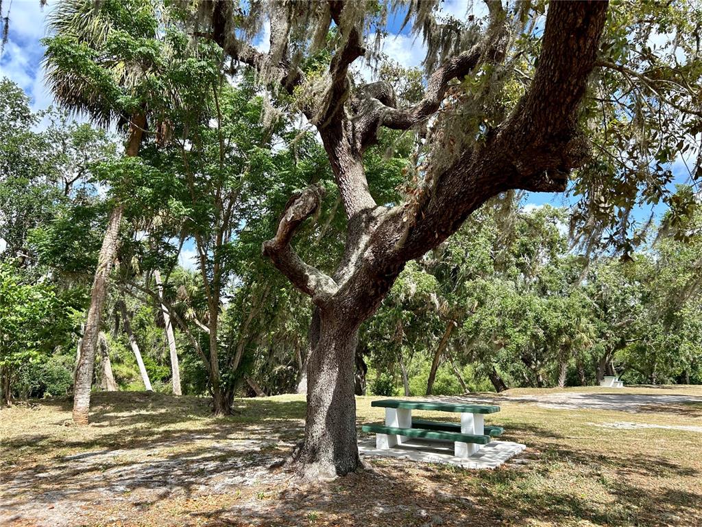 3456 Elm Street Zolfo Springs, FL 33890 - Photo 43 of 45