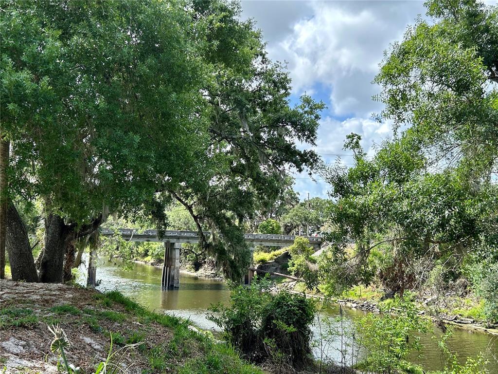 3456 Elm Street Zolfo Springs, FL 33890 - Photo 44 of 45