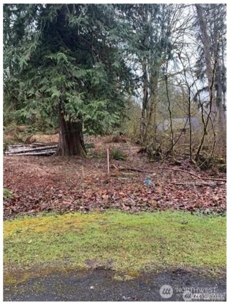 16007 Shuksan Rim Drive Deming, WA 98244 - Photo 2 of 10