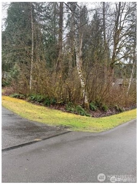 16007 Shuksan Rim Drive Deming, WA 98244 - Photo 3 of 10