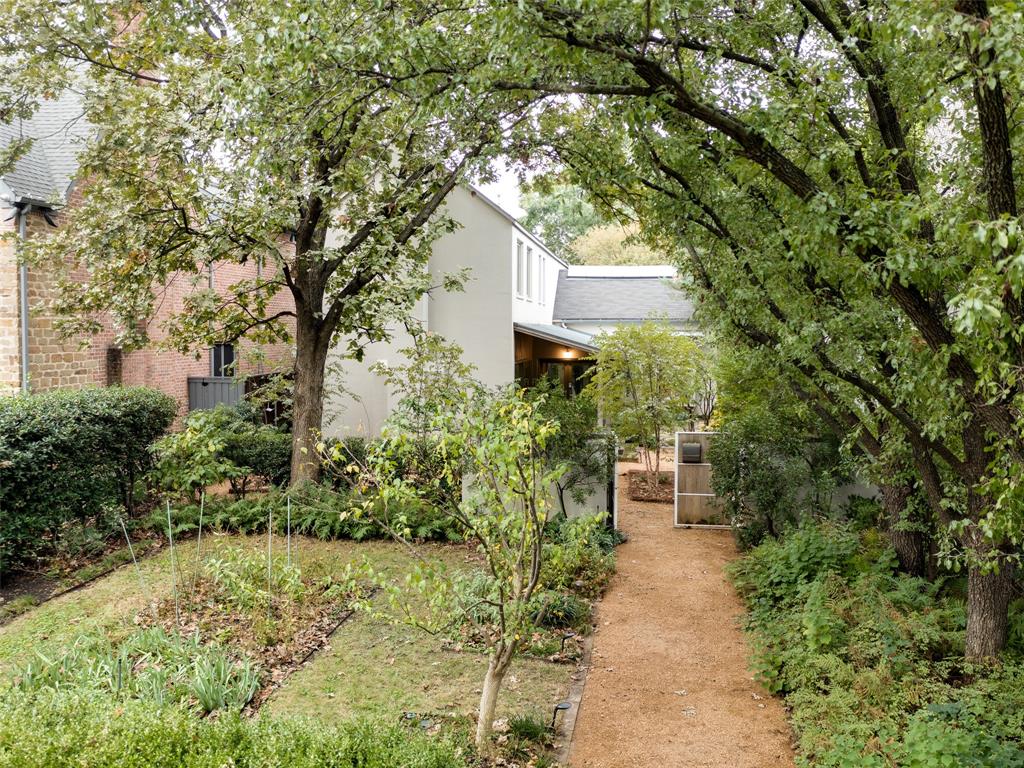a view of a back yard