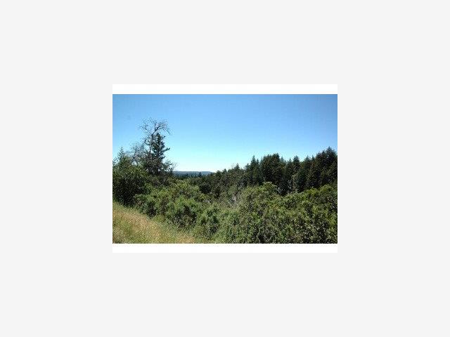 2300 Nelson Road Scotts Valley, CA 95066 - Photo 9 of 9 Gallery Image 9