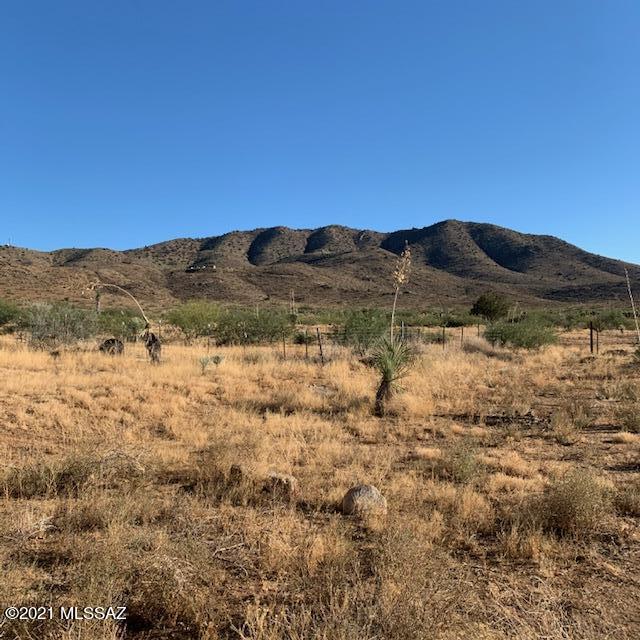 3504 East Howling Wolf Road Willcox, AZ 85643 - Photo 21 of 21 a view of a large mountain with mountains in the background