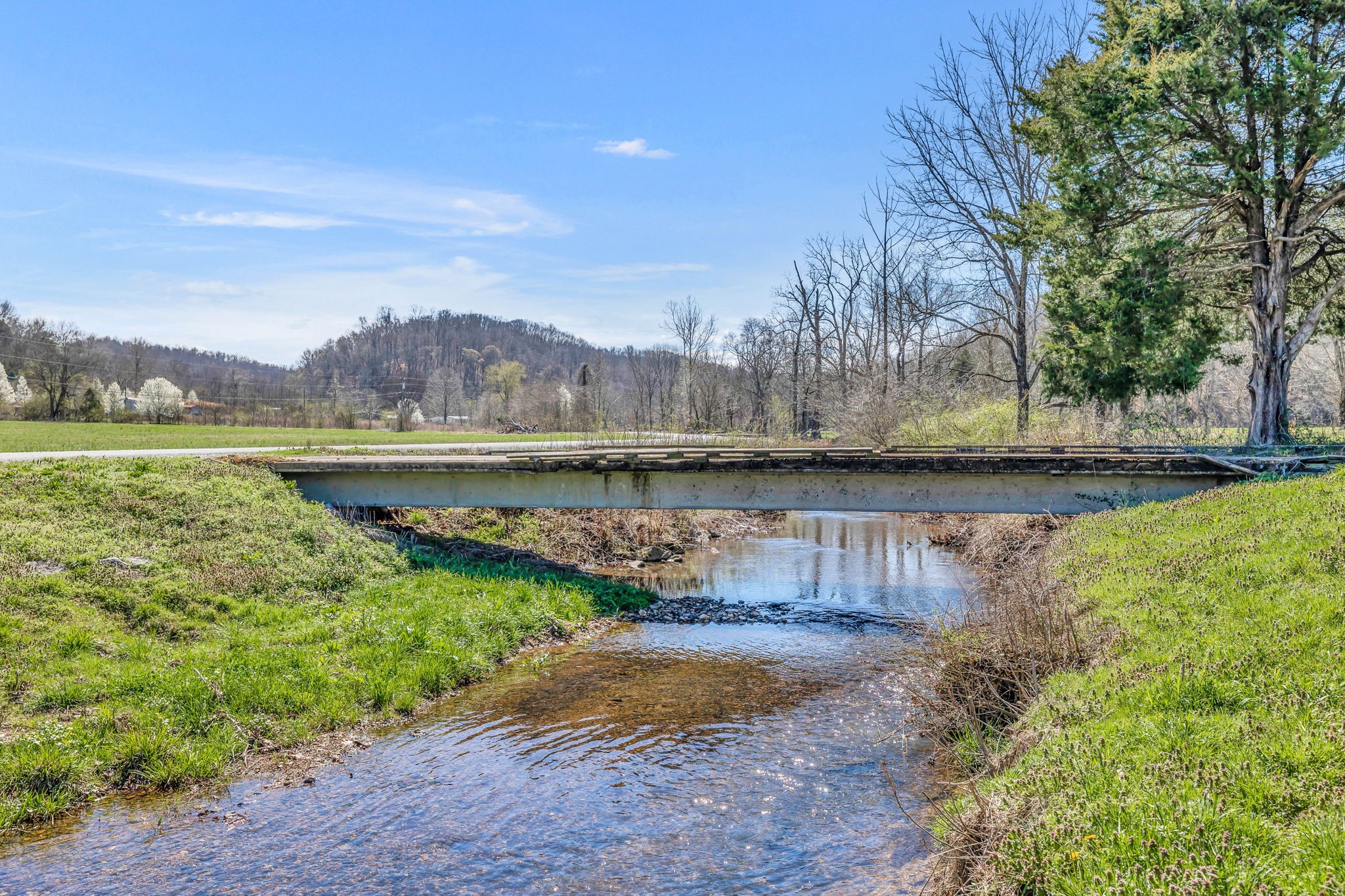 0 Baptist Branch Road Mount Pleasant, TN 38474 - Photo 8 of 26 Gallery Image 8