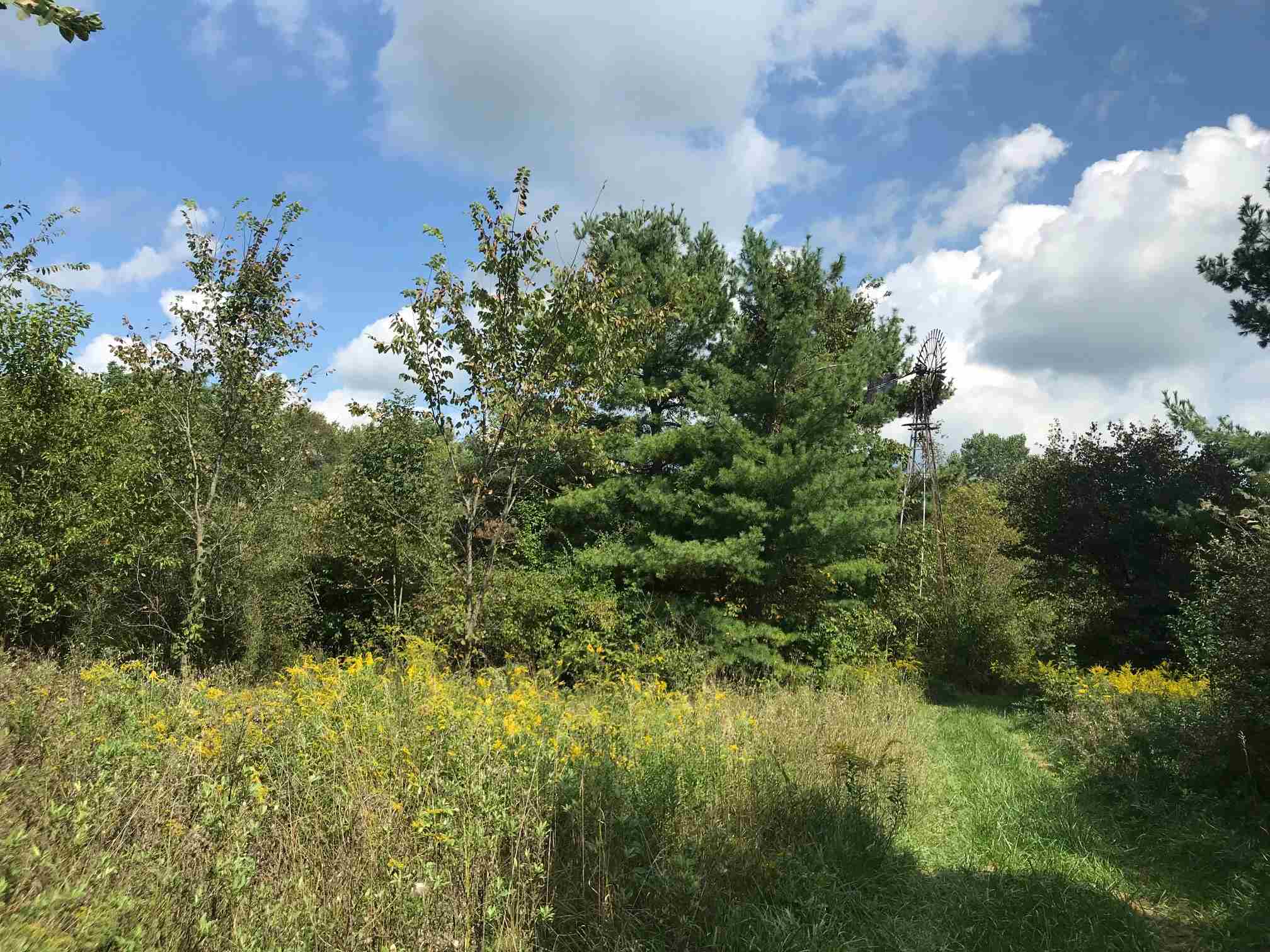 14300 Souder Road Grabill, IN 46741 - Photo 2 of 5