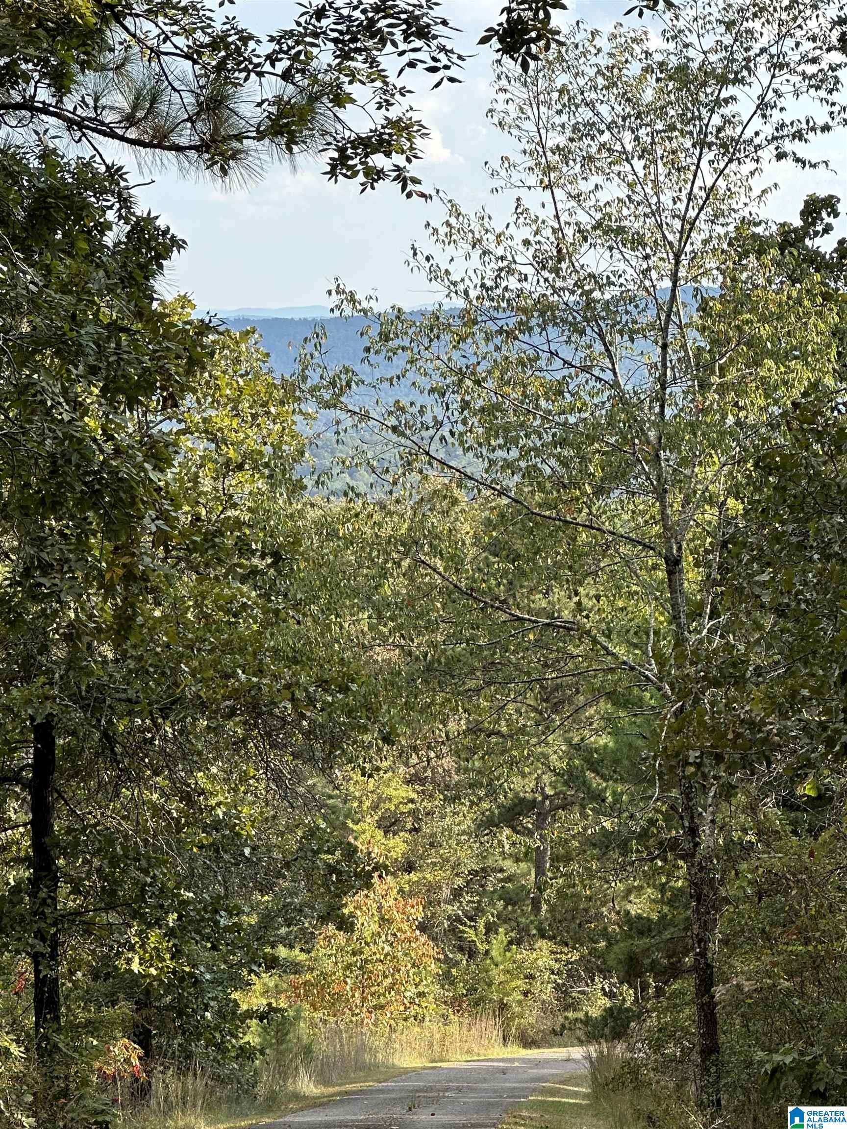 Eagle View, Unit 117 Leeds, AL 35094 - Photo 6 of 8