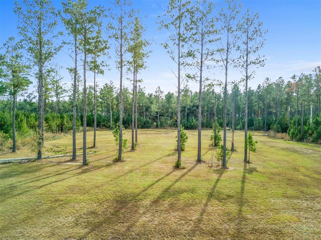 0 Abie Fontenot Road Iowa, LA 70647 - Photo 2 of 7