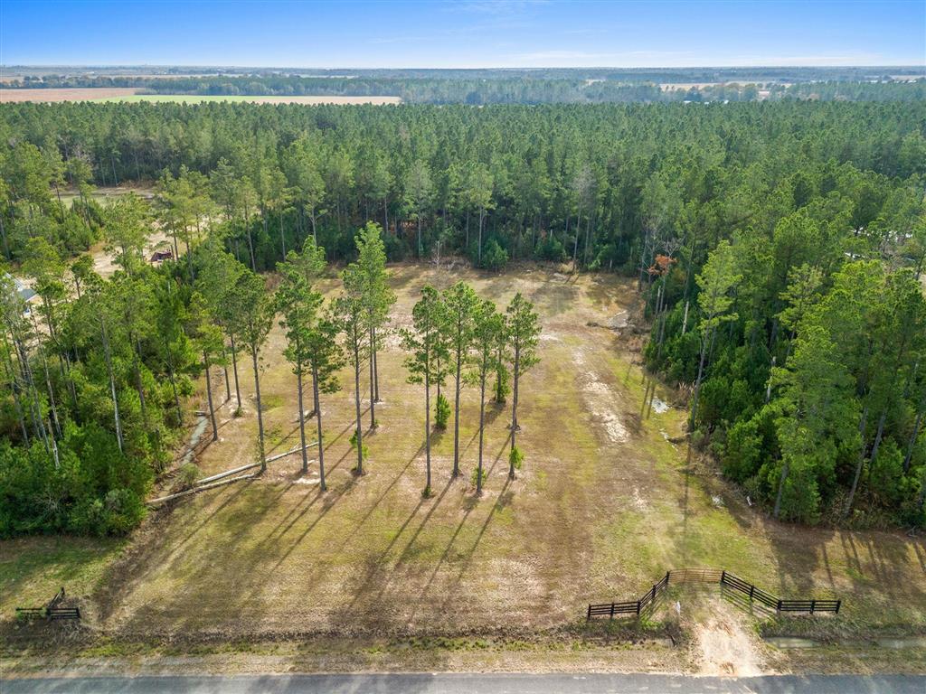 0 Abie Fontenot Road Iowa, LA 70647 - Photo 4 of 7