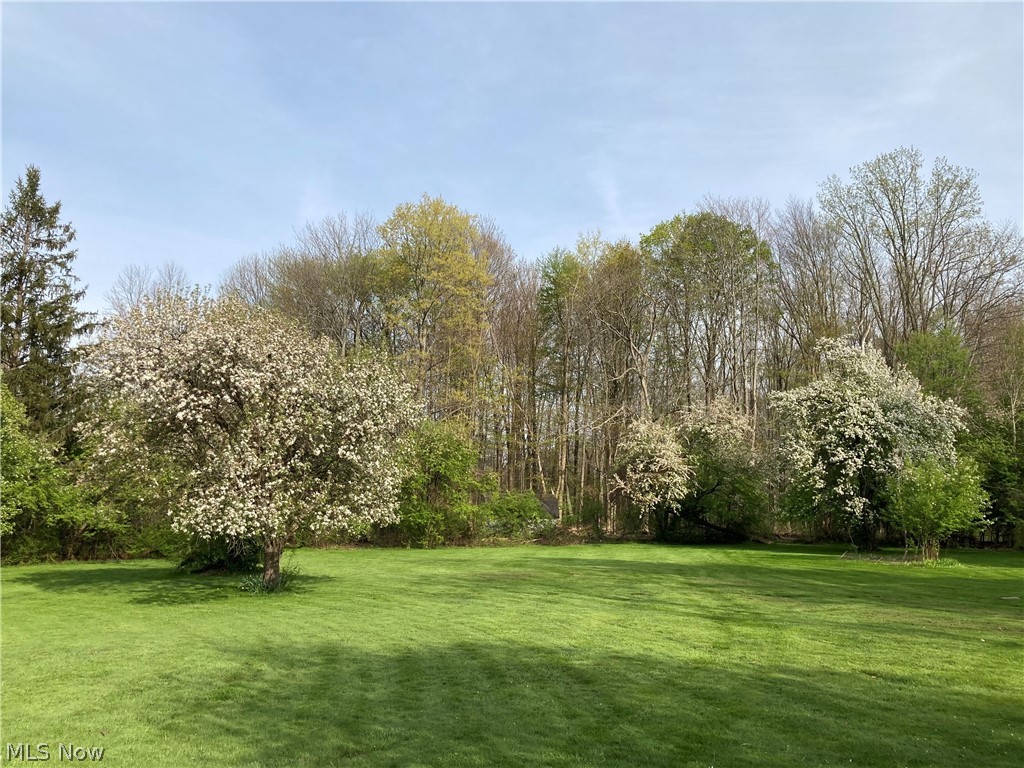 15357 Hemlock Point Road Chagrin Falls, OH 44022 - Photo 3 of 30