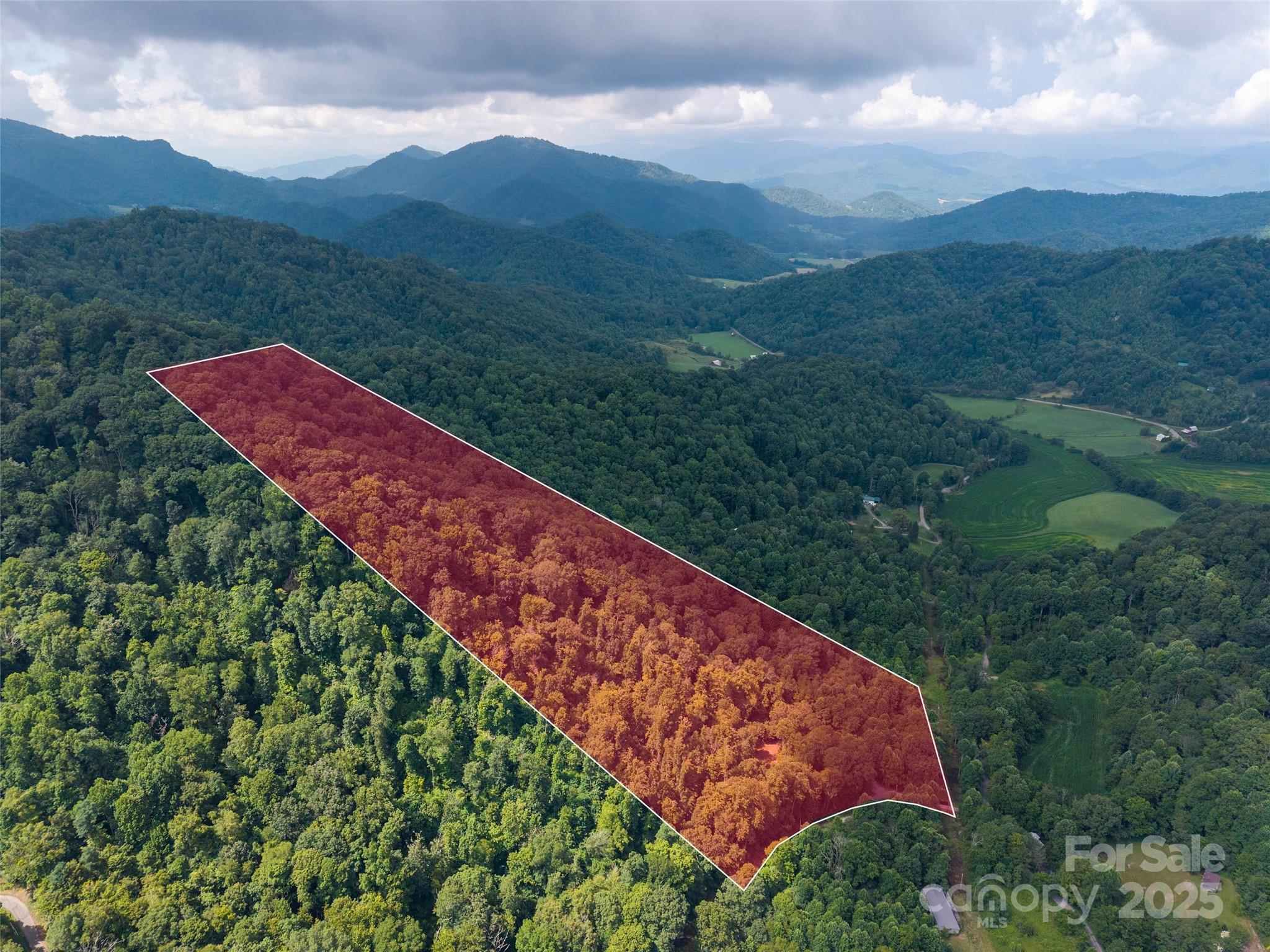0 Sugar Cove Road Clyde, NC 28721 - Photo 1 of 16 a view of a dry yard with mountains in the background