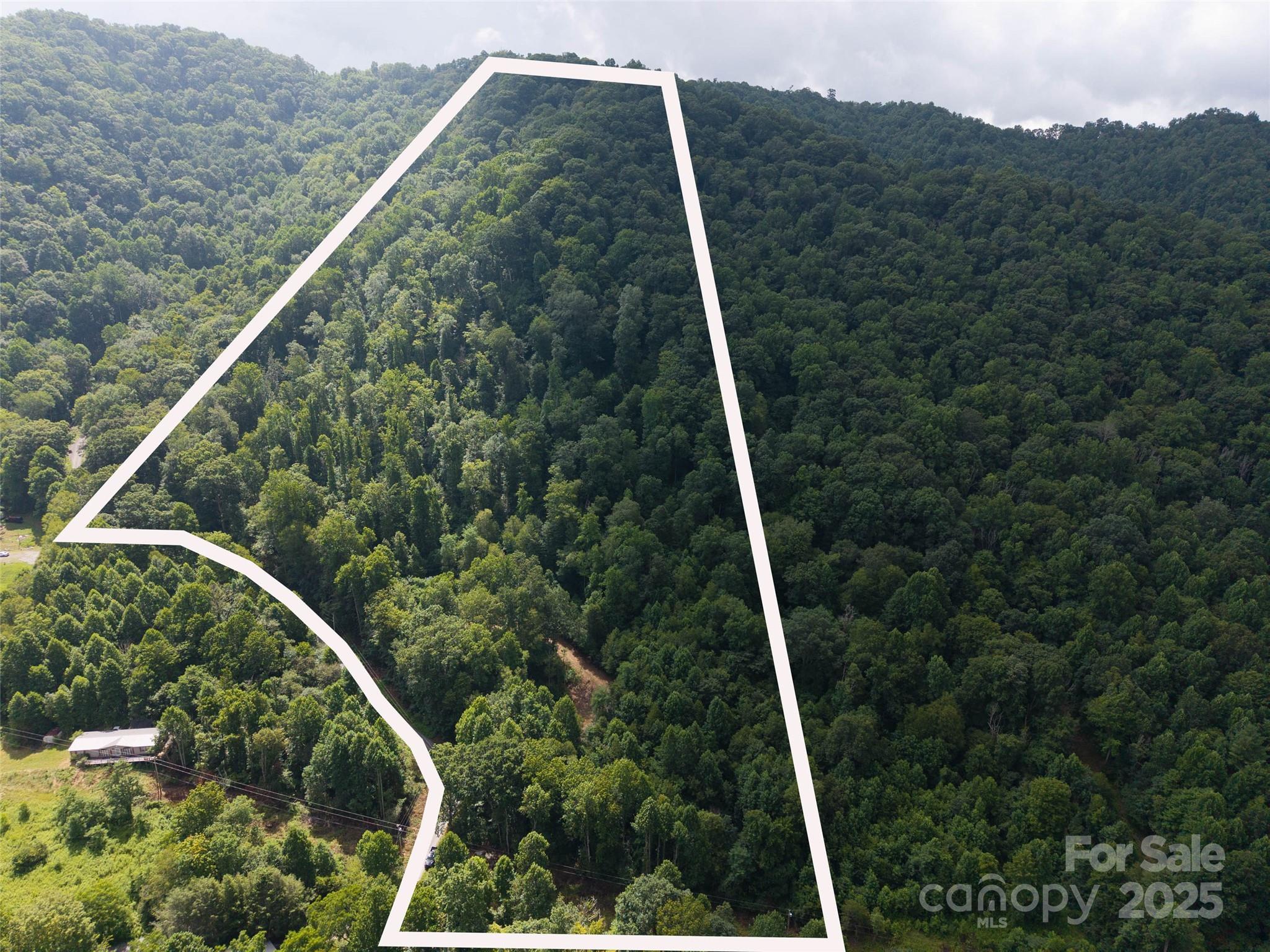 0 Sugar Cove Road Clyde, NC 28721 - Photo 2 of 16 a view of a forest