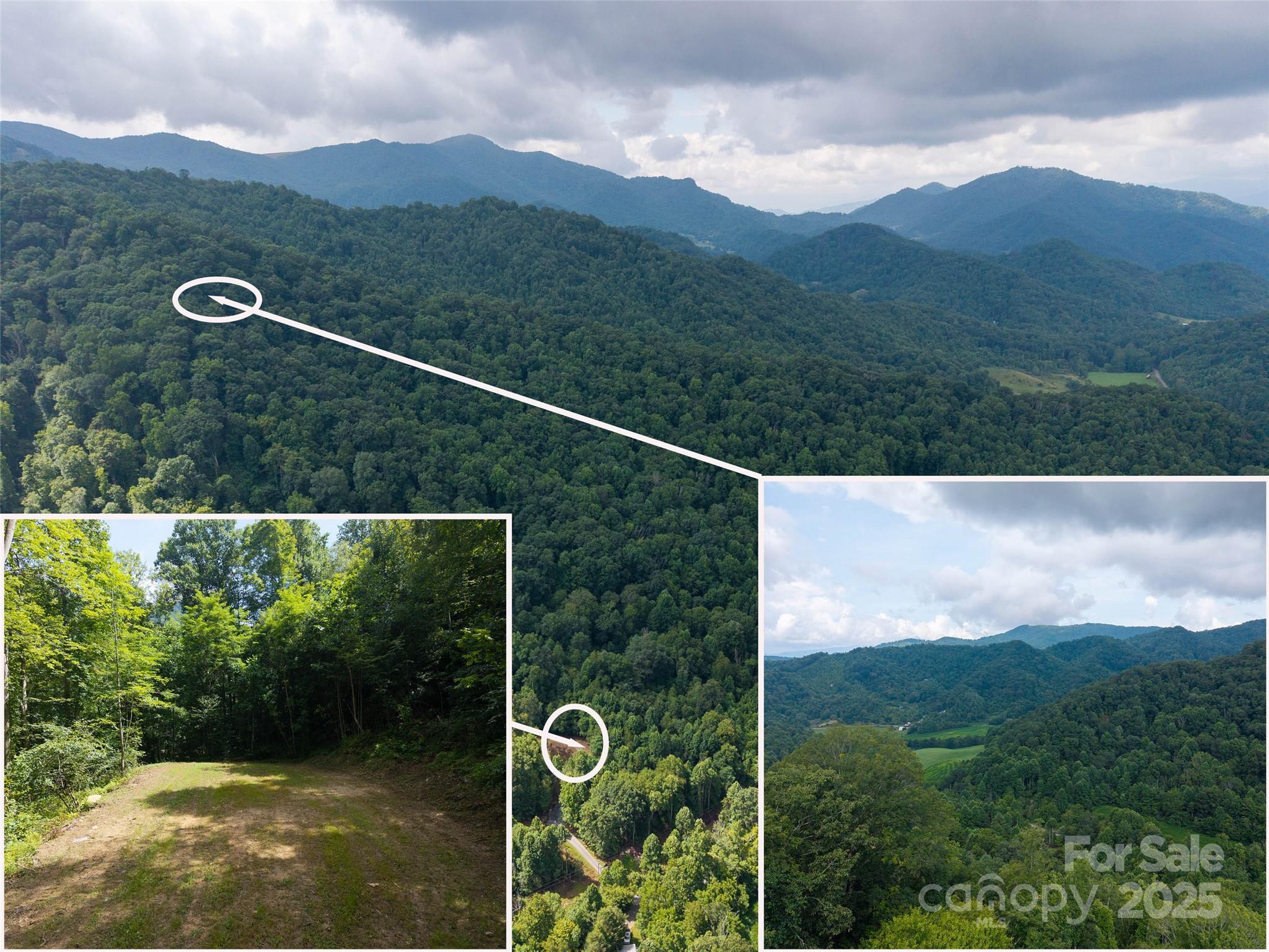 0 Sugar Cove Road Clyde, NC 28721 - Photo 3 of 16 a view of a city