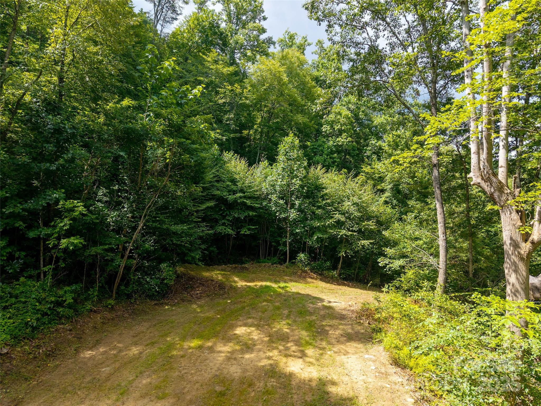 0 Sugar Cove Road Clyde, NC 28721 - Photo 7 of 16 a view of outdoor space and yard