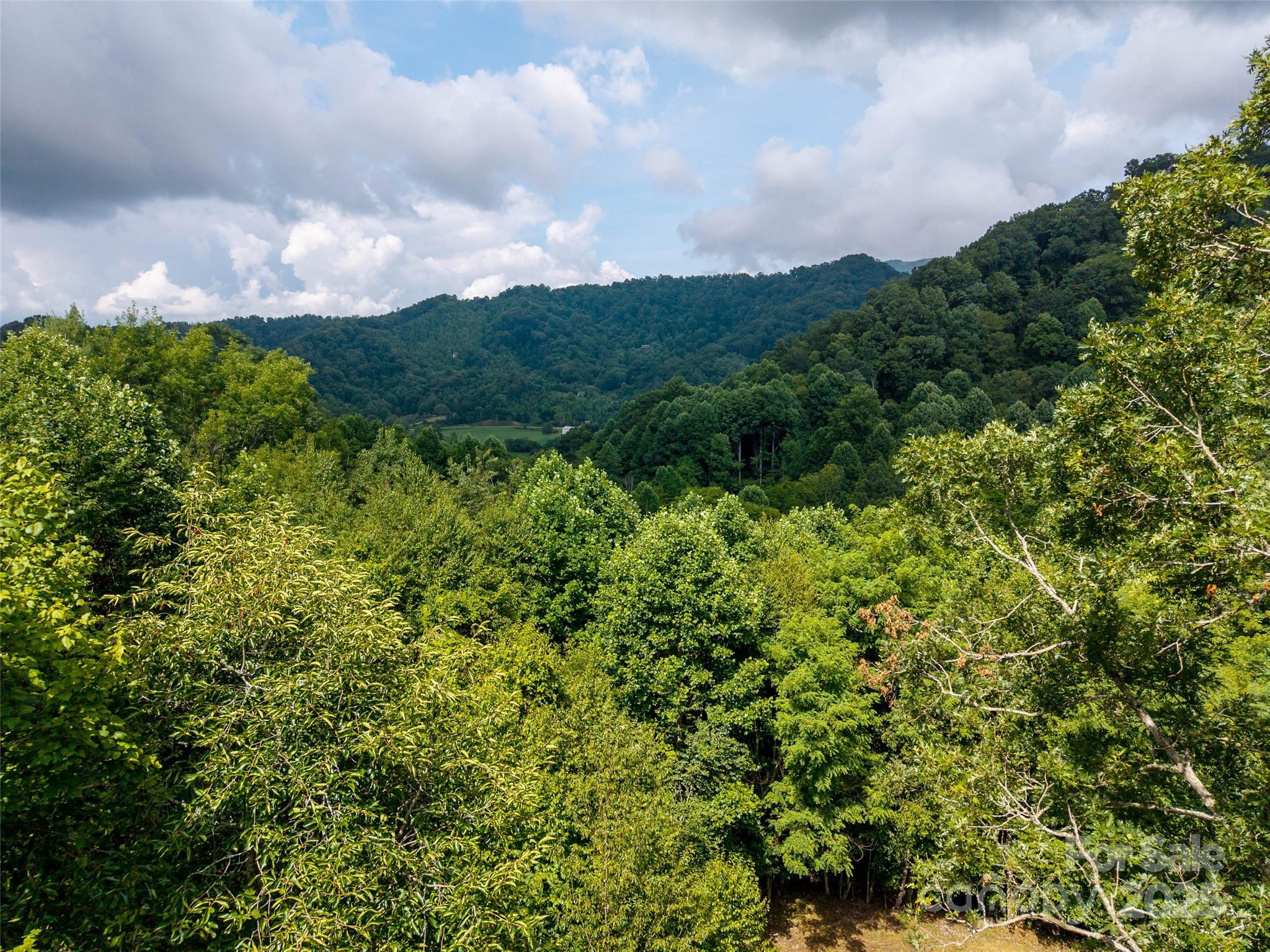 0 Sugar Cove Road Clyde, NC 28721 - Photo 8 of 16 a view of a bunch of trees