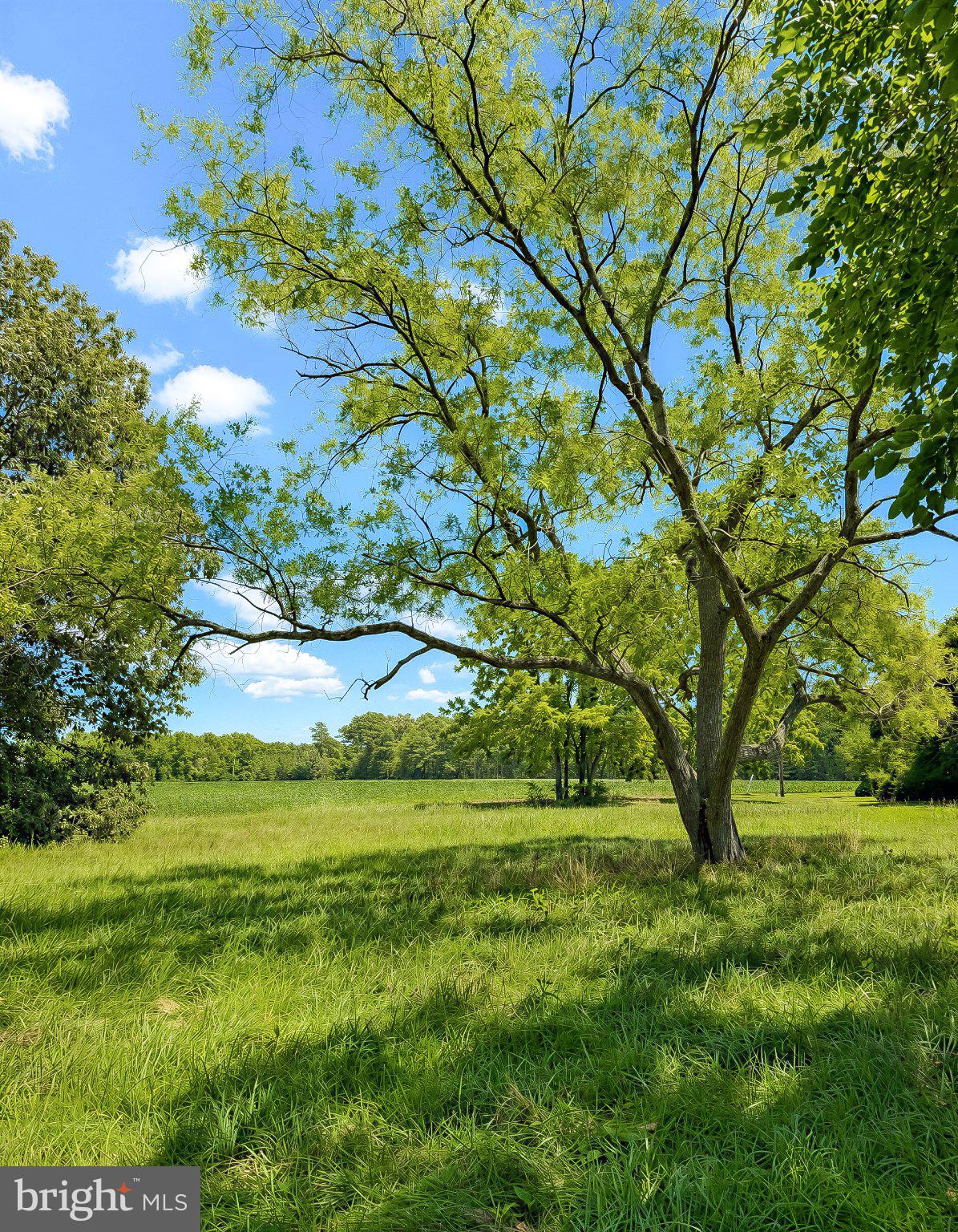 45776 Boothe Road Drayden, MD 20630 - Photo 82 of 94 Gallery Image 82
