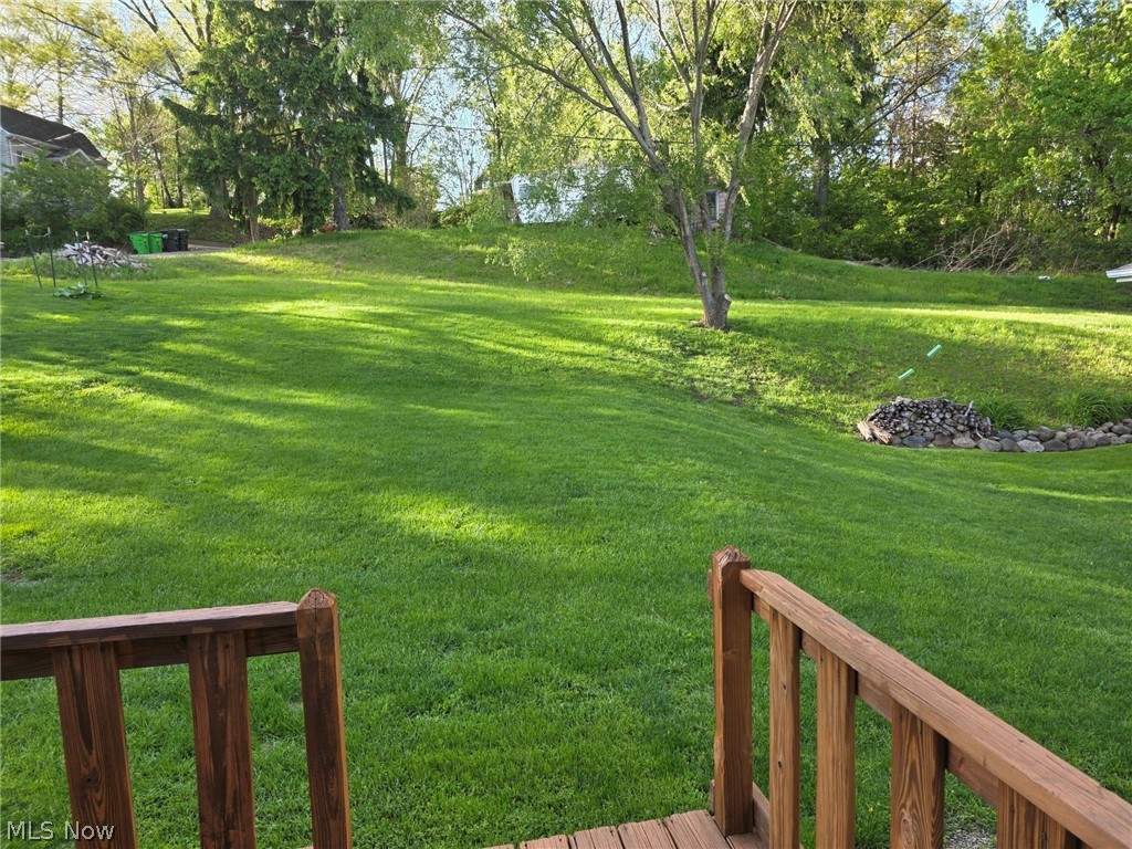 95 Erie Street Rittman, OH 44270 - Photo 22 of 25 Backyard view