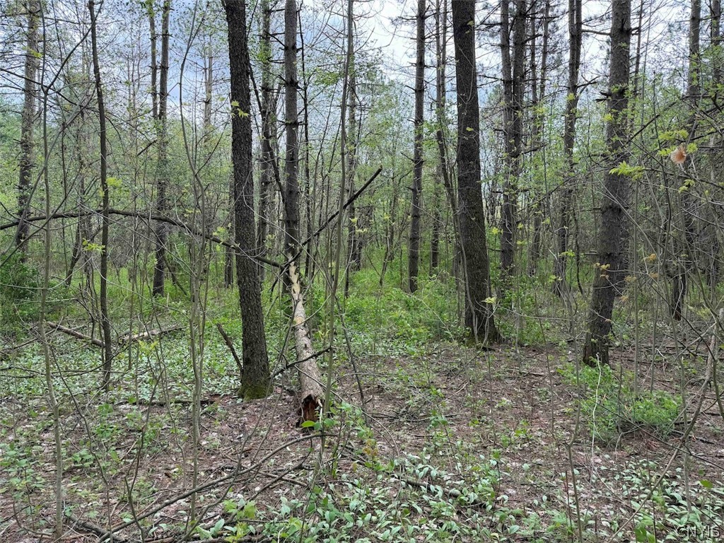 Youngs Road Conewango Valley, NY 14726 - Photo 26 of 32 Gallery Image 26