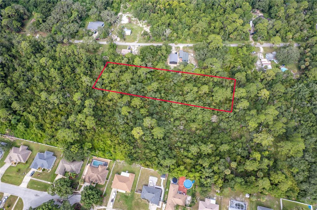 North Road Deltona, FL 32725 - Photo 11 of 13 a backyard of a house with lots of green space and plants