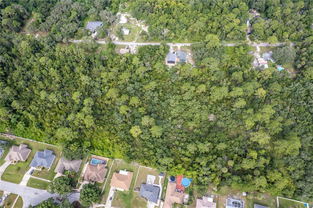 North Road Deltona, FL 32725 - Photo 12 of 13 a backyard of a house with lots of green space and two chairs