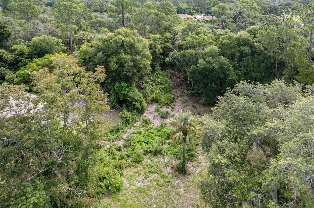 North Road Deltona, FL 32725 - Photo 2 of 13 an aerial view of residential house with outdoor space and trees all around