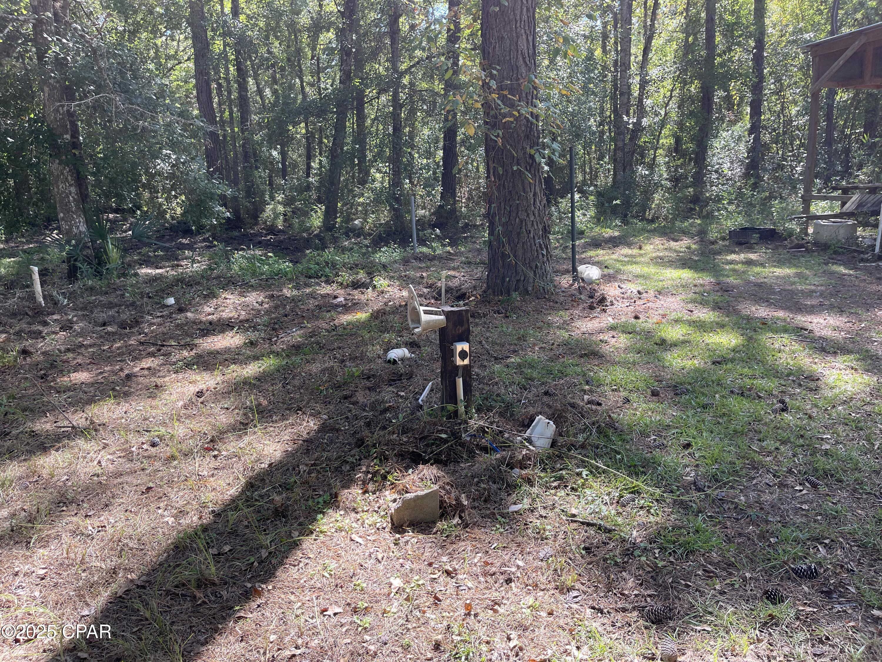 Lot 5 Smokehouse Lake Road Ponce de Leon, FL 32455 - Photo 1 of 14