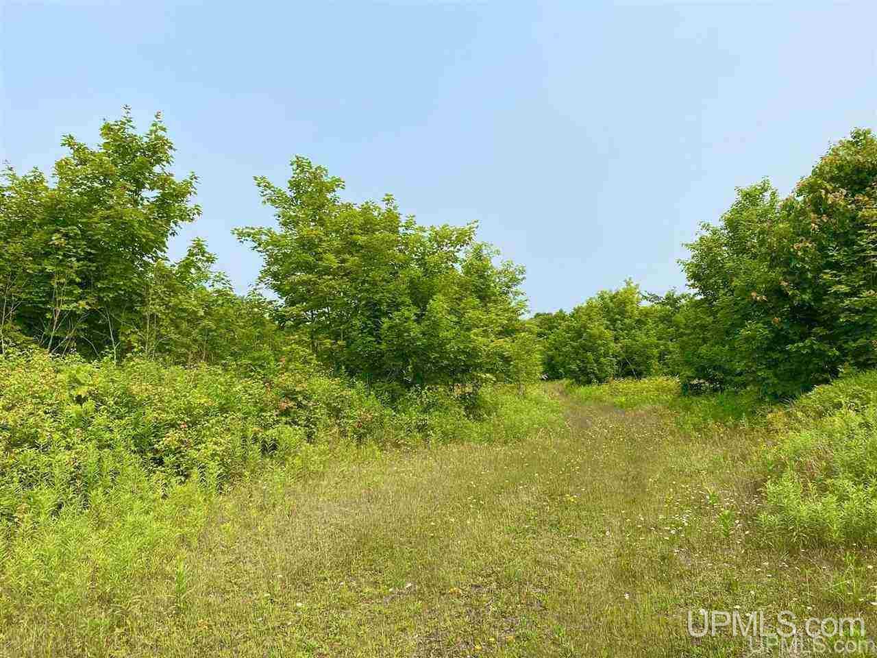 Tbd Southside Road Manistique, MI 49854 - Photo 12 of 36 Gallery Image 12