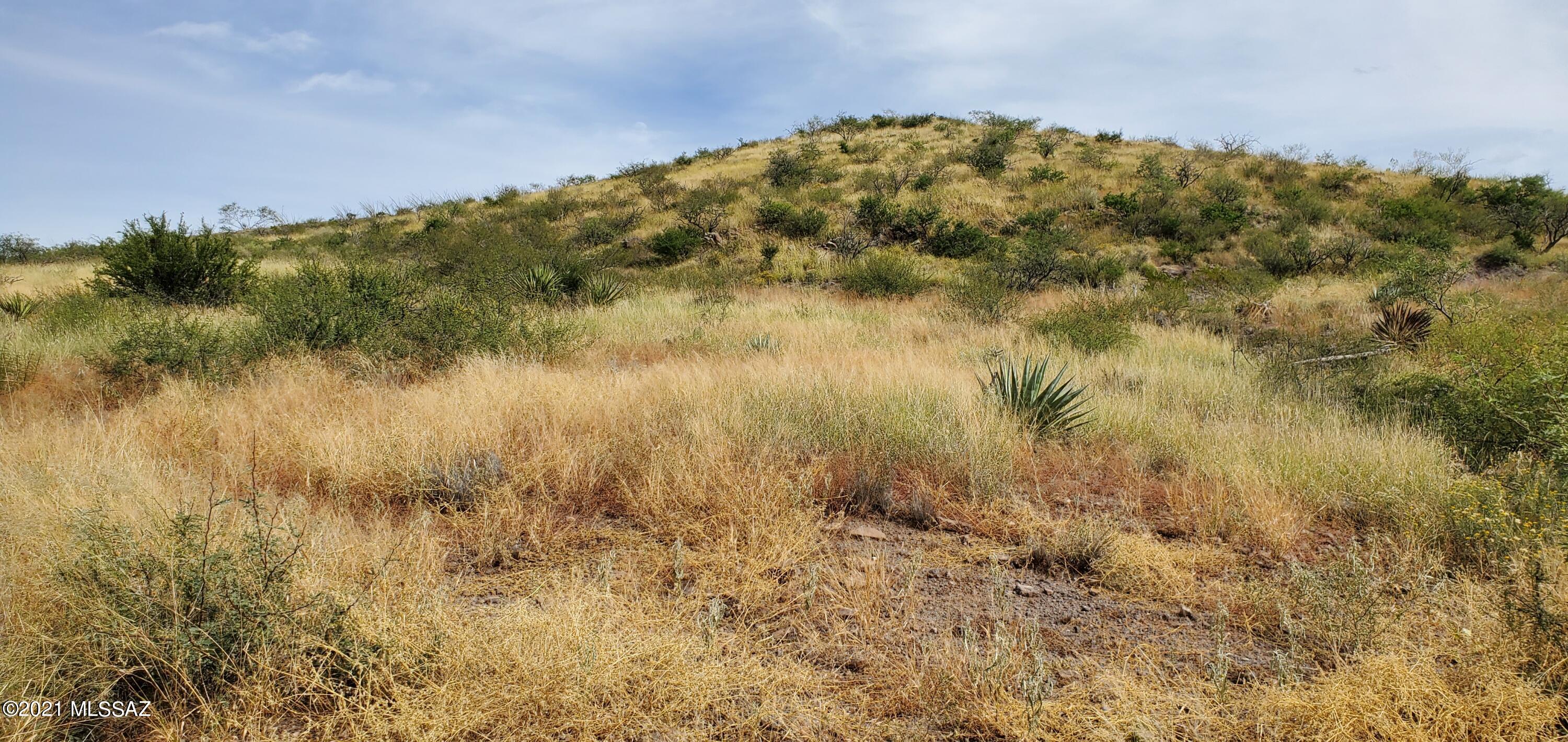 13781 South Bell Road Benson, AZ 85602 - Photo 2 of 38 Gallery Image 2