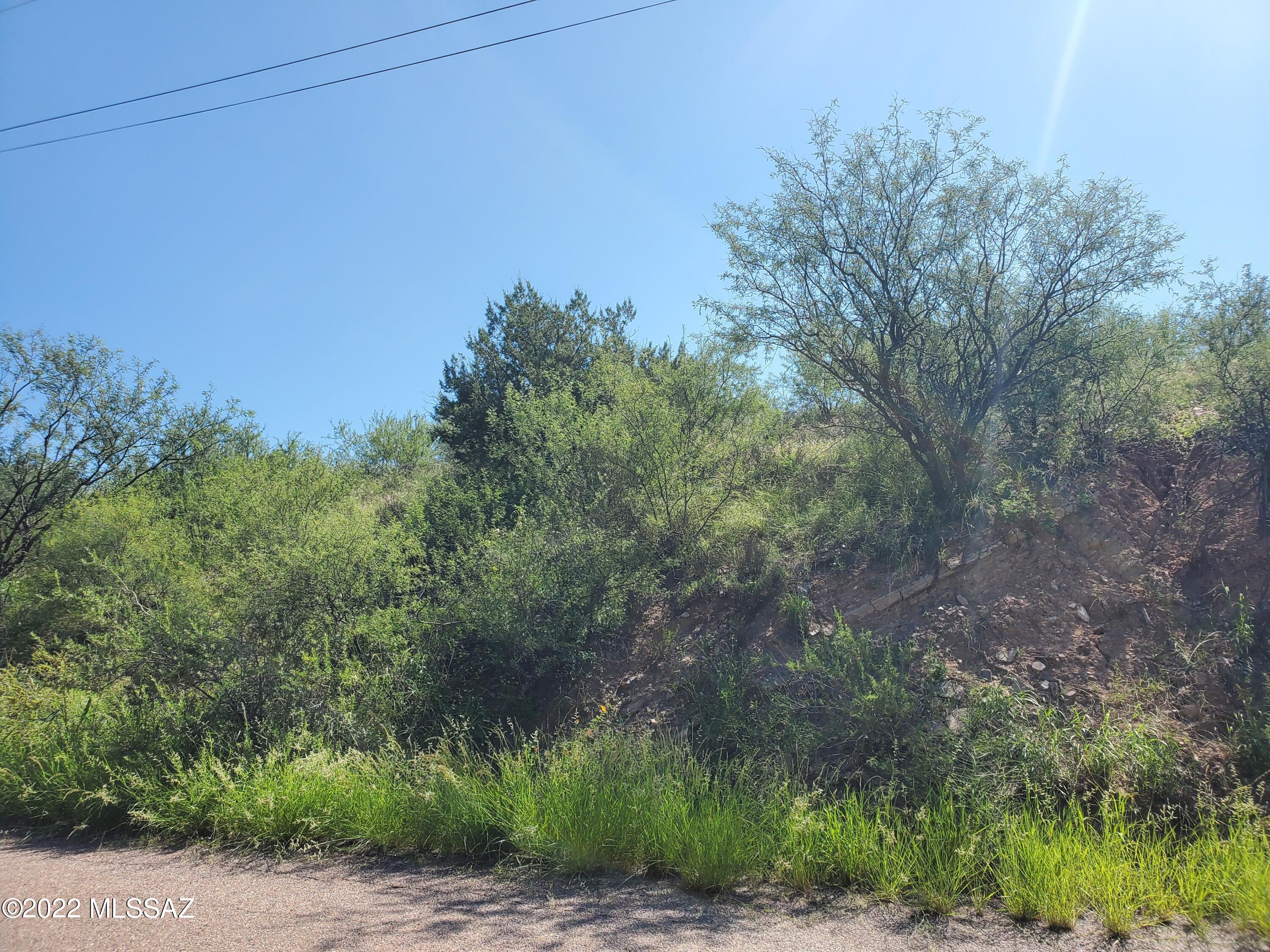 238 Paseo Sombrilla, Unit 34 Rio Rico, AZ 85648 - Photo 7 of 17