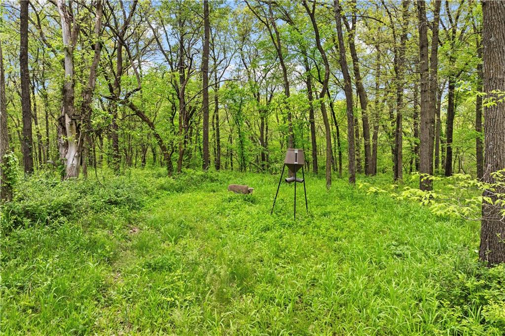 11155 Hubbard Road Kansas City, KS 66109 - Photo 68 of 90