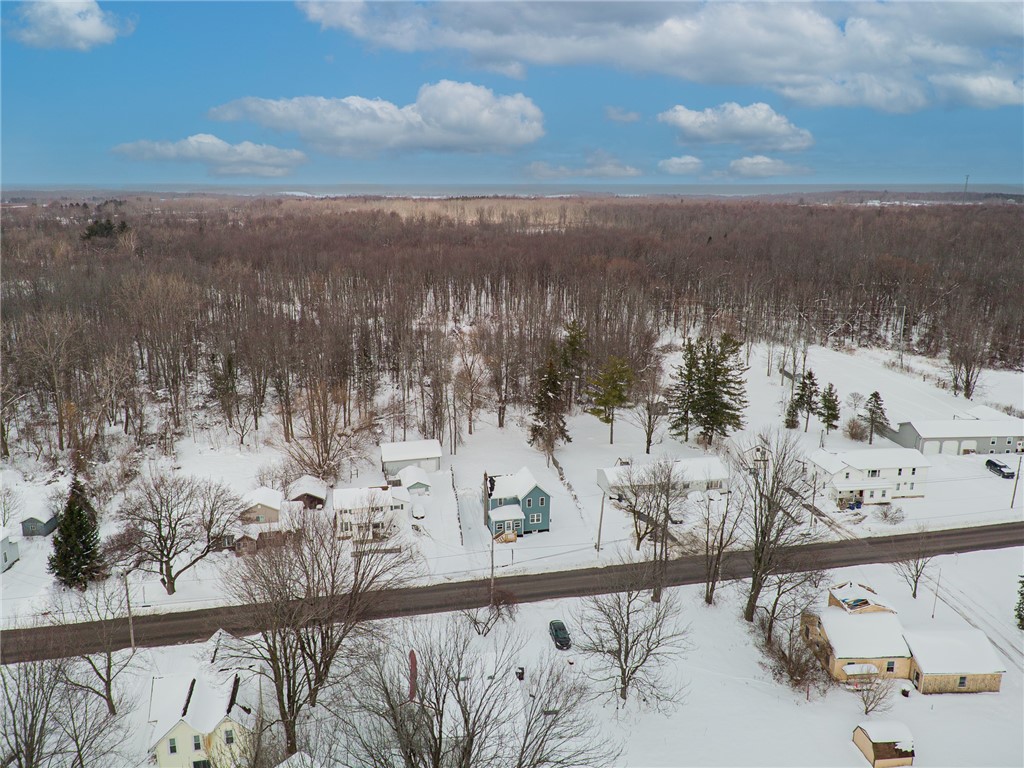 52 State Street Sodus, NY 14551 - Photo 26 of 29 ENJOY A ROOMY LOT - MAYBE PUT UP YOUR OWN POLE BAR