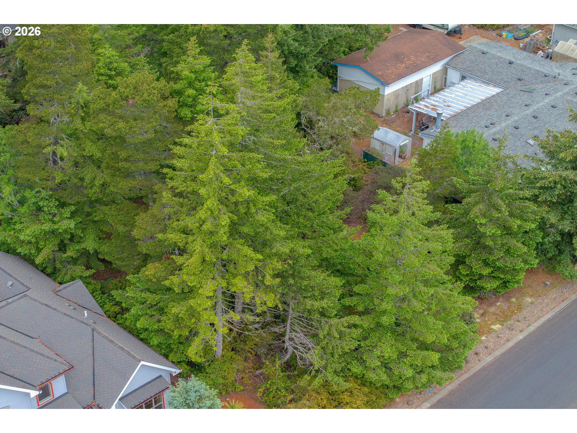 1639 Willow Loop Florence, OR 97439 - Photo 14 of 18