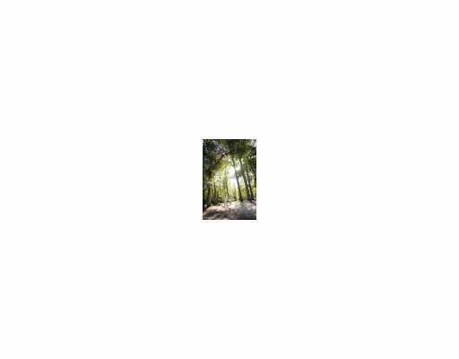 15 Briar Hollow Road Covington, LA 70433 - Photo 10 of 11 Gallery Image 10