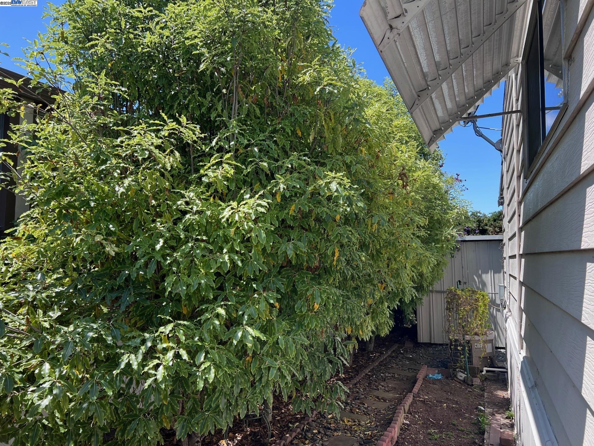 1352 Chelsea Way Hayward, CA 94544 - Photo 37 of 38