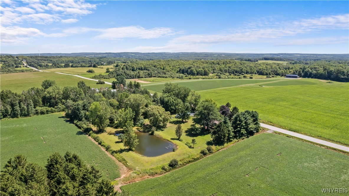 1133 Perry Road Sheldon, NY 14145 - Photo 18 of 50