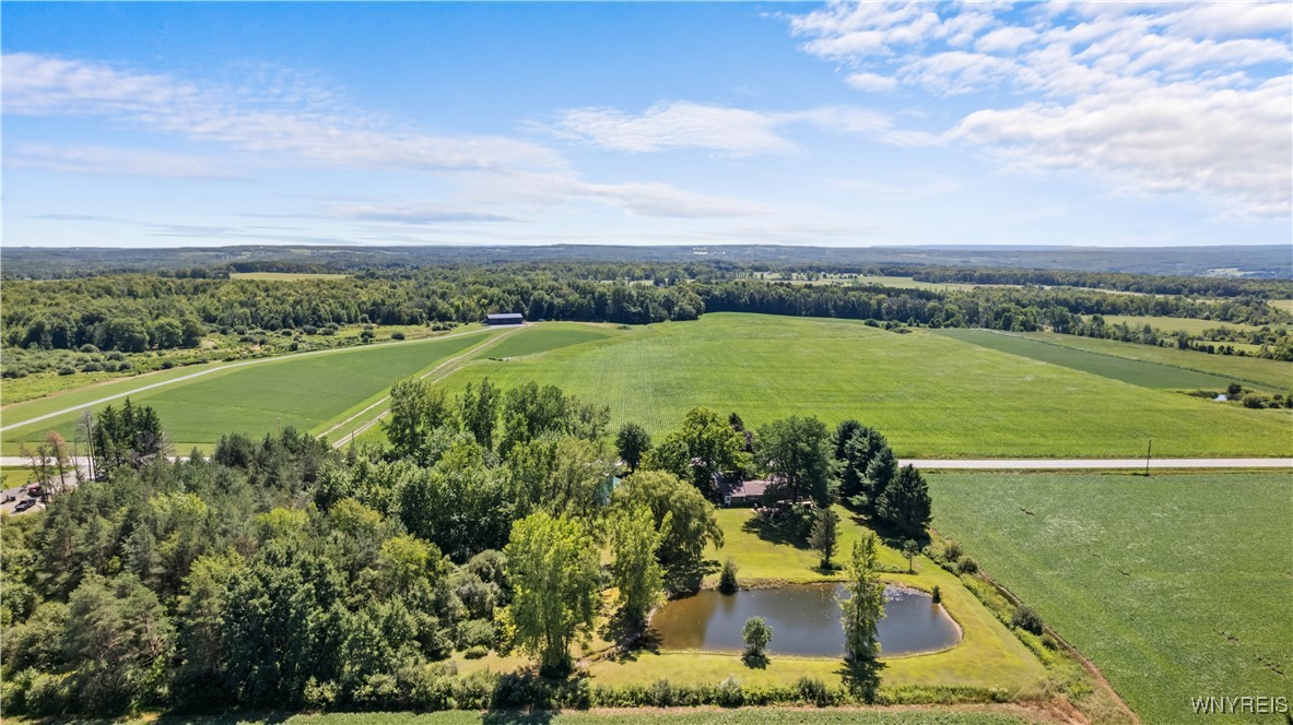 1133 Perry Road Sheldon, NY 14145 - Photo 19 of 50