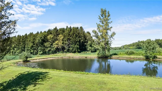 $380,000 | 1133 Perry Road, Sheldon, NY 14145