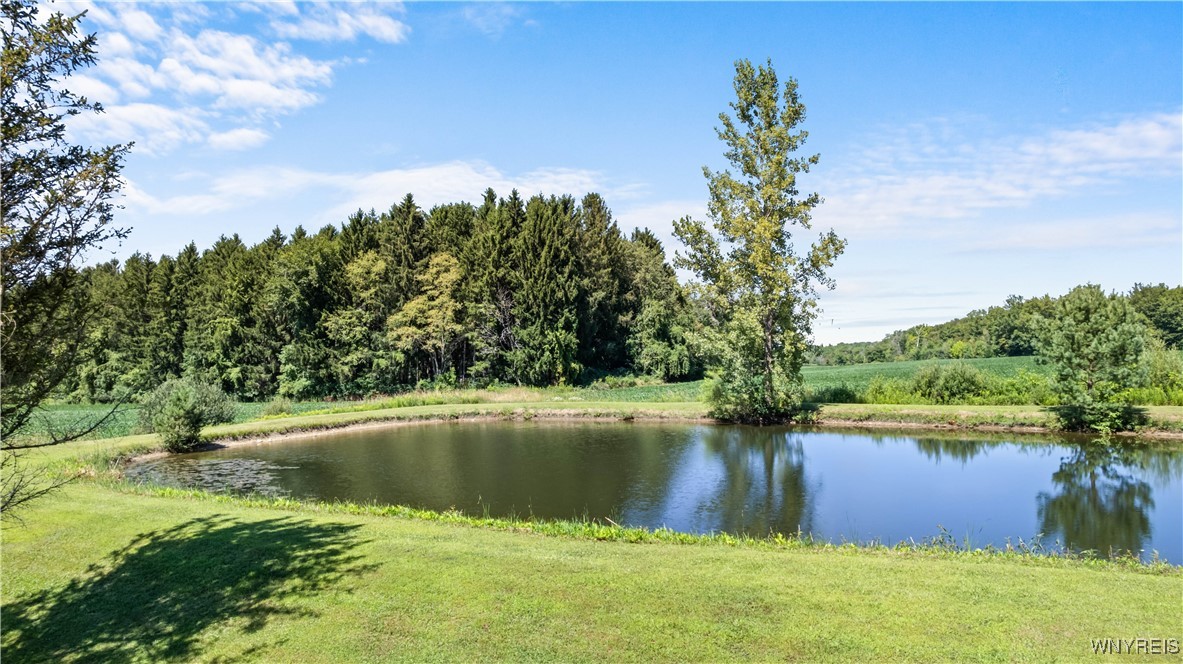 1133 Perry Road Sheldon, NY 14145 - Photo 22 of 50