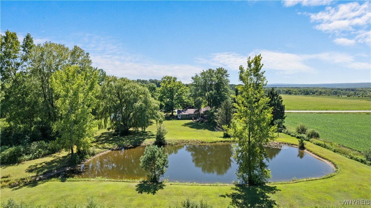 1133 Perry Road Sheldon, NY 14145 - Photo 23 of 50