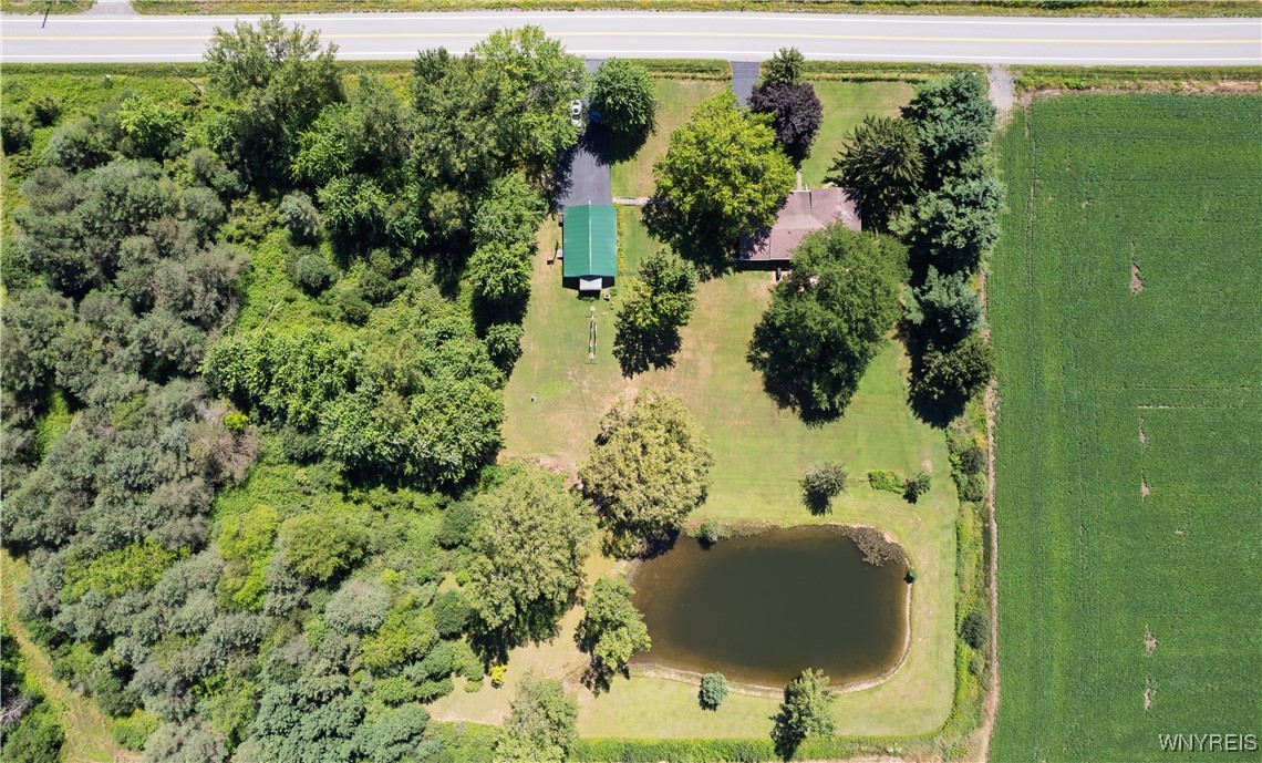 1133 Perry Road Sheldon, NY 14145 - Photo 25 of 50