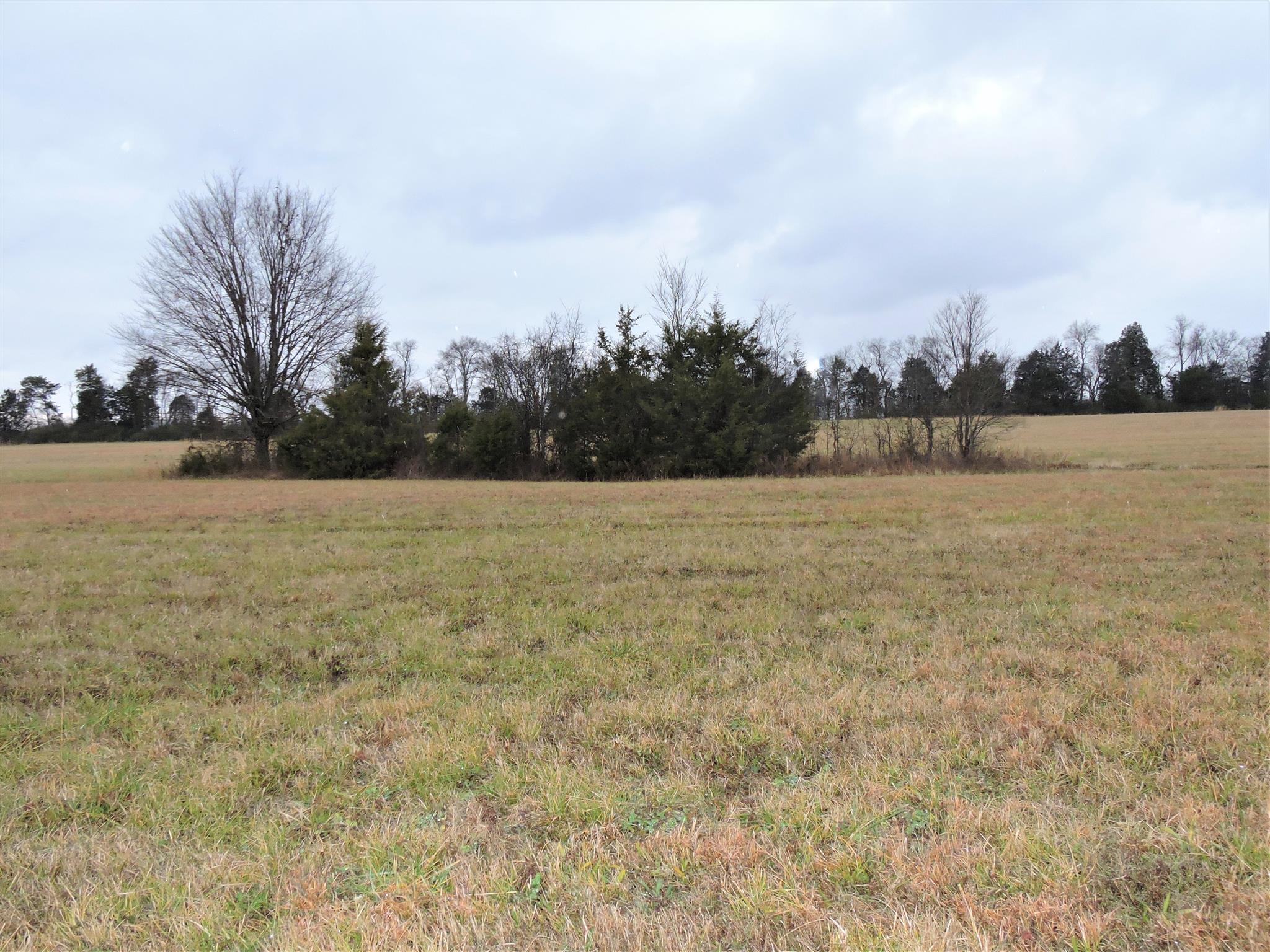 4 Plainview Road Christiana, TN 37037 - Photo 5 of 6 Gallery Image 5